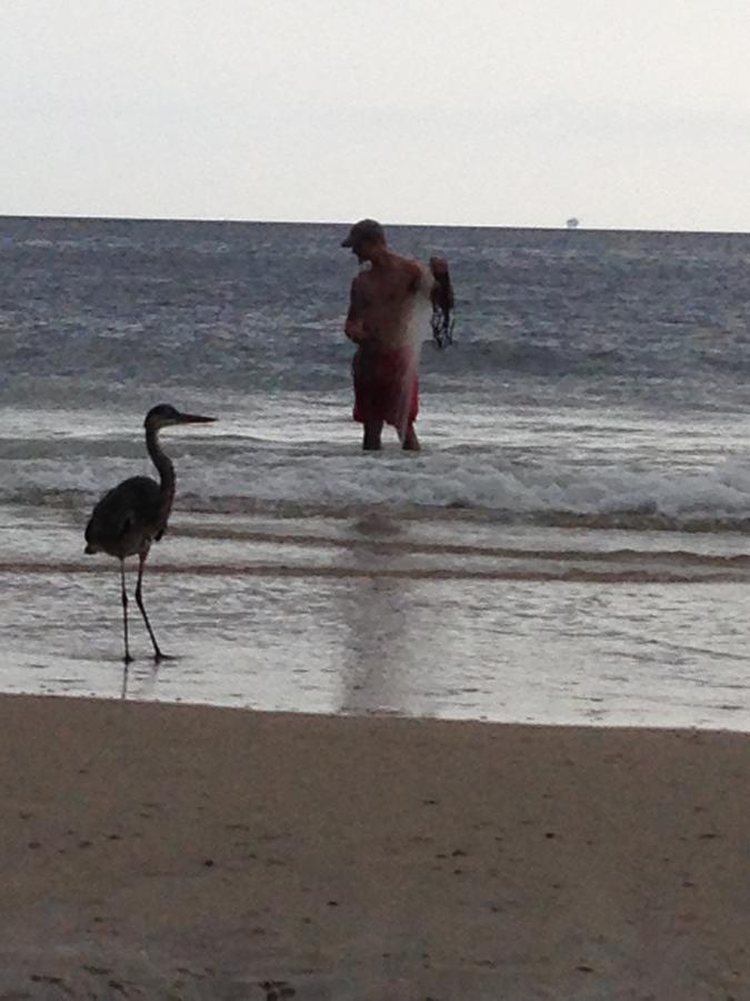 Gulf Shores Plantation ภายนอก รูปภาพ