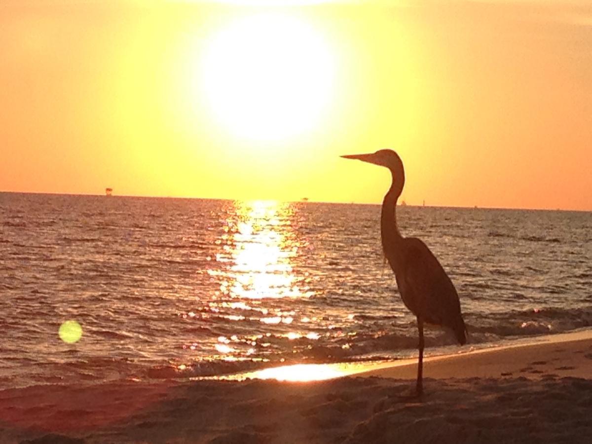 Gulf Shores Plantation ภายนอก รูปภาพ
